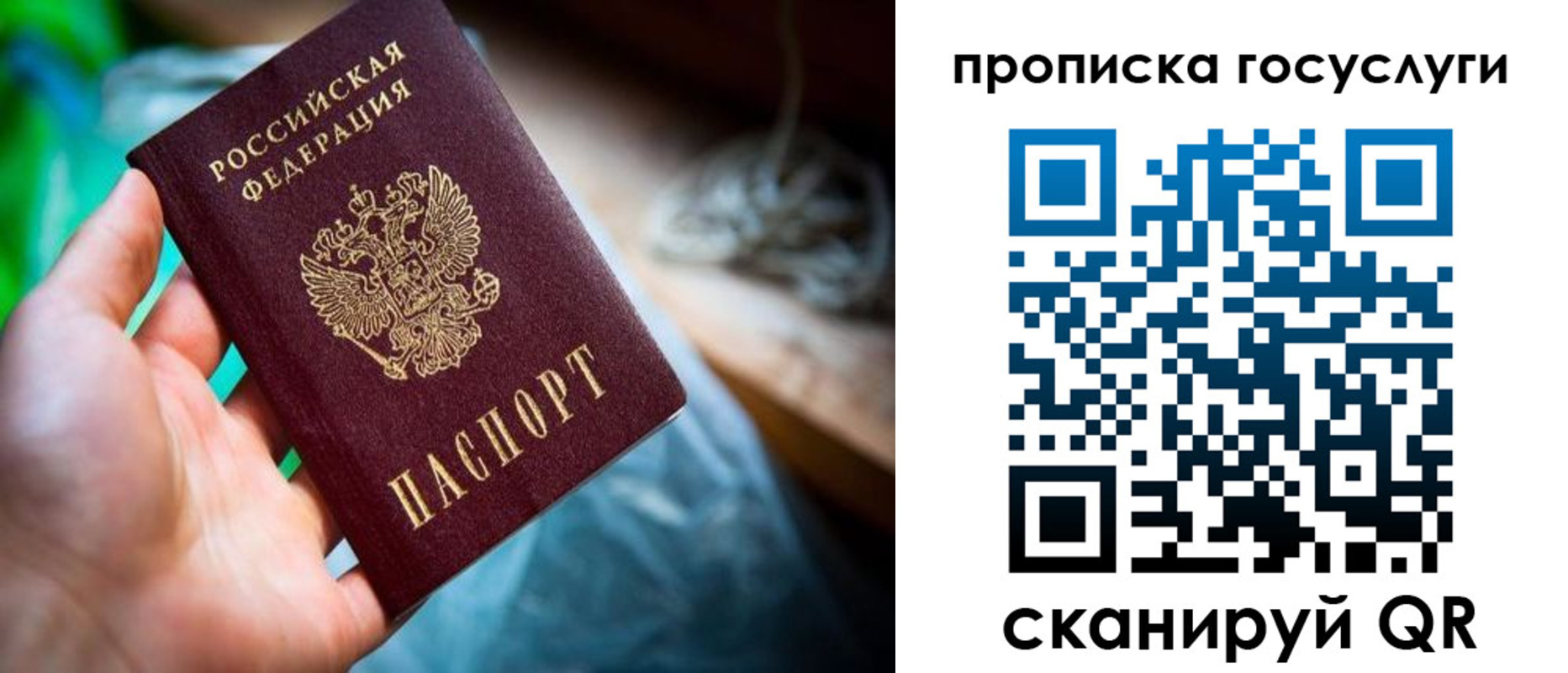 временная регистрация в квартире в Владимирской области